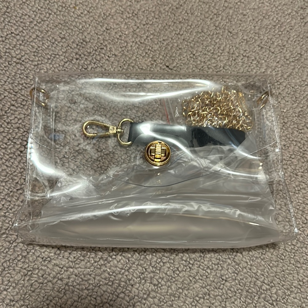 Clear Purse with Gold Chain